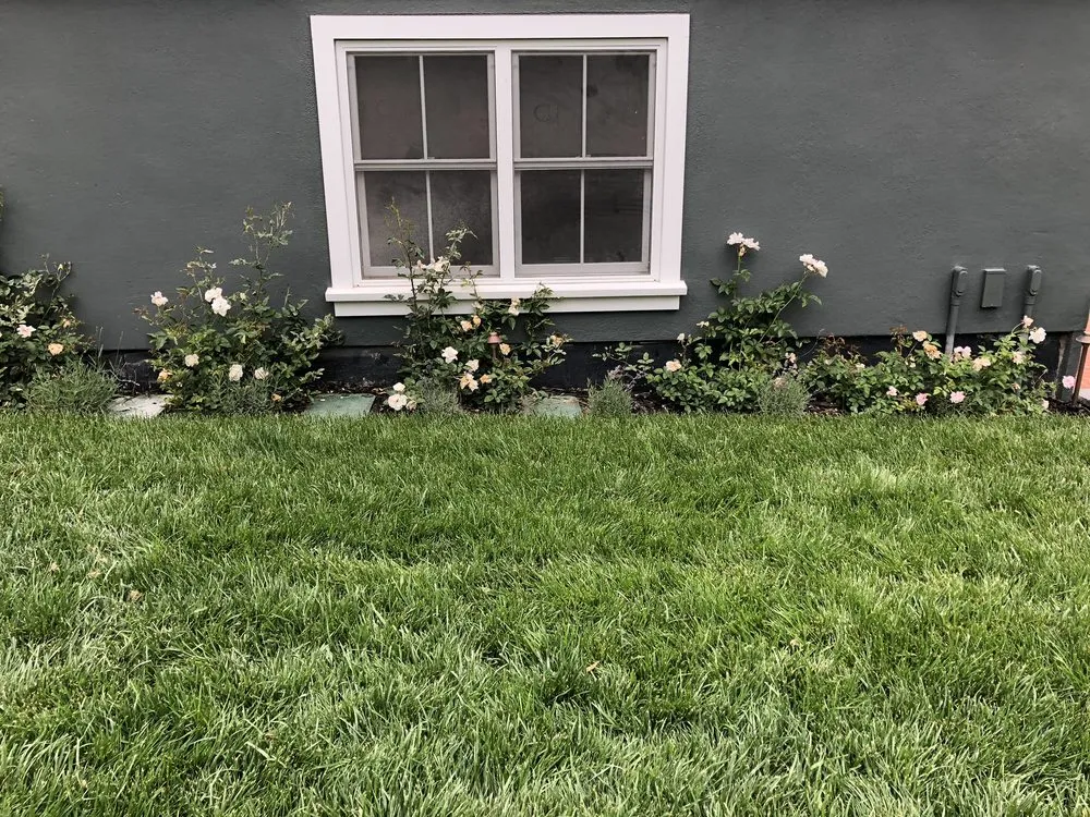 Professional yard cleanup service experts serving Burlingame, CA - Fernando Cuevas Landscaping