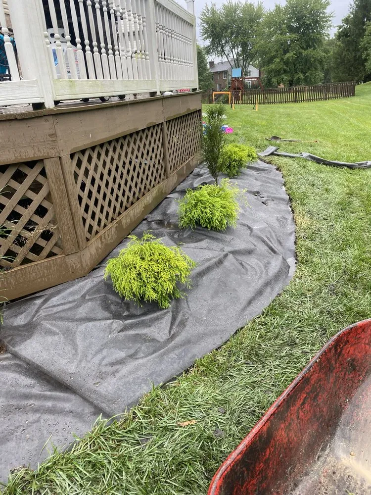 Expert lawn care service in Cincinnati, OH by Fernando Escobar Landscaping And Lawn Care Service