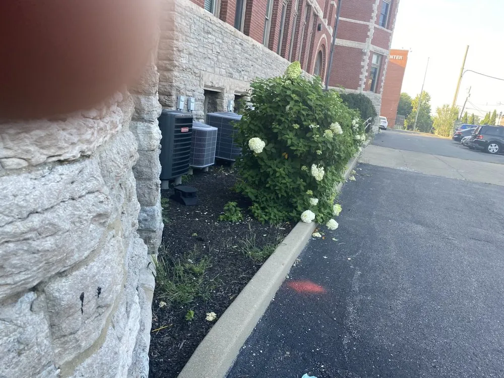 Affordable lawn care service in Cincinnati, OH by Fernando Escobar Landscaping And Lawn Care Service