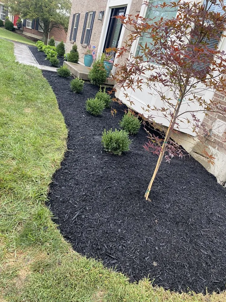 Reliable yard cleanup service for residential properties across Cincinnati, OH - Fernando Escobar Landscaping And Lawn Care Service