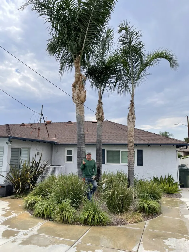 Local yard cleanup service for residential properties across Covina, CA - Fernando Gardening Service