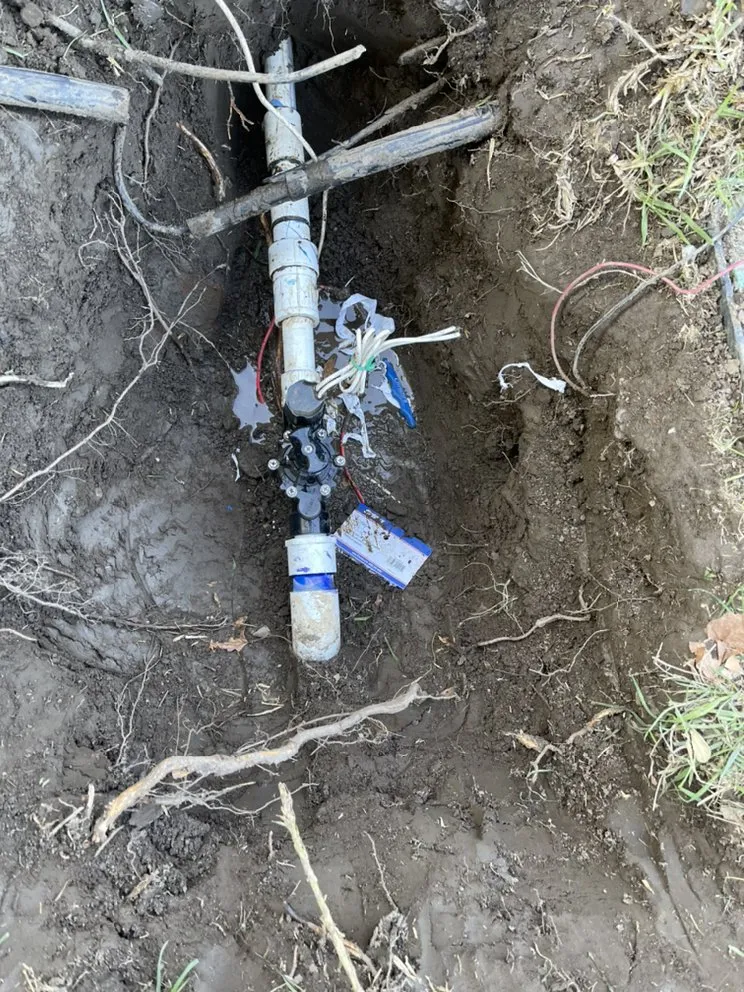 Reliable garden landscaping for homes across Covina, CA - Fernando Gardening Service