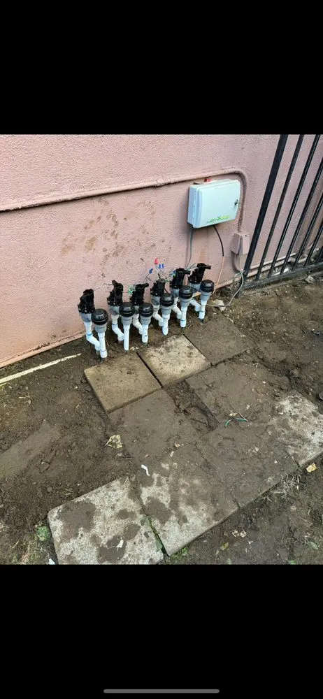 Affordable landscape design for year-round maintenance in Covina, CA by Fernando Gardening Service