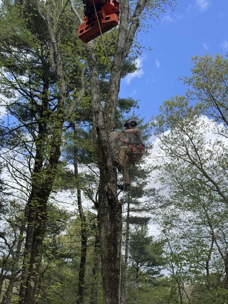 Trusted lawn mowing service in Millis, MA - Fernando Landscape and More