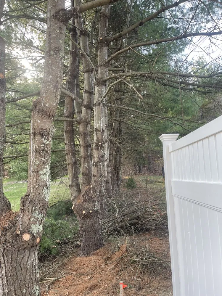 Professional residential landscaping for outdoor upgrades in Millis, MA by Fernando Landscape and More