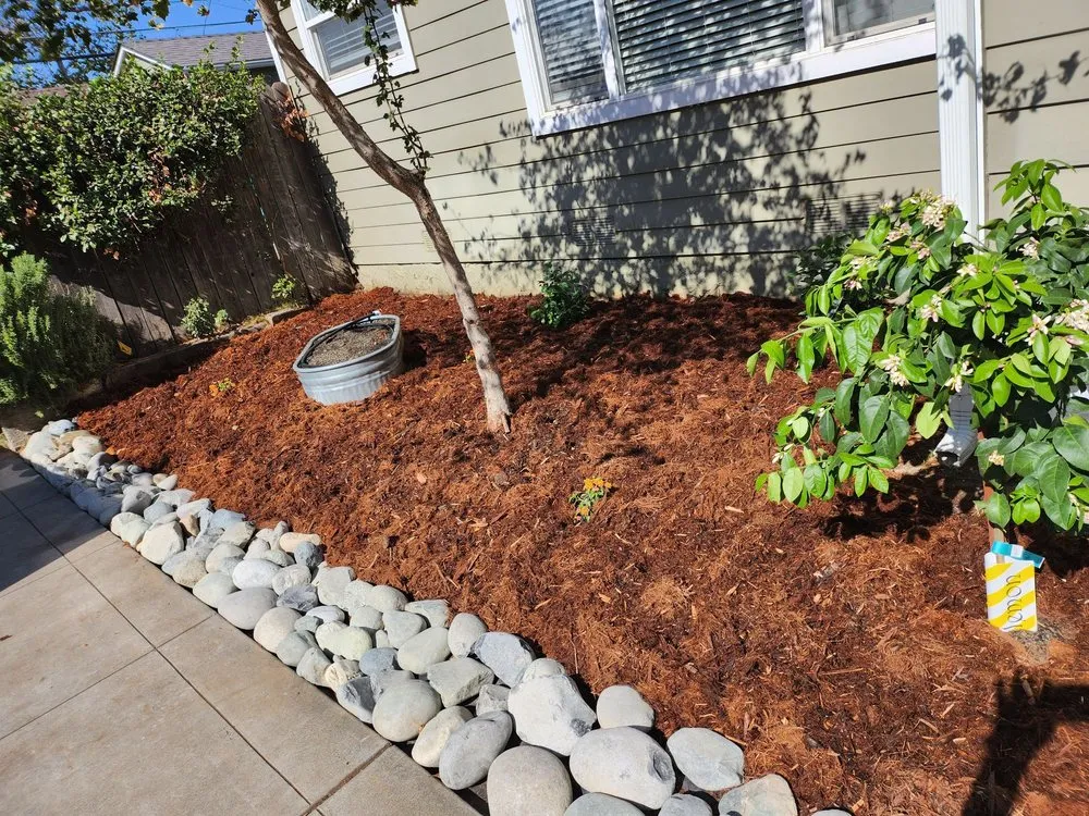 Reliable landscape installation in Sacramento, CA - Fernando Landscape Design