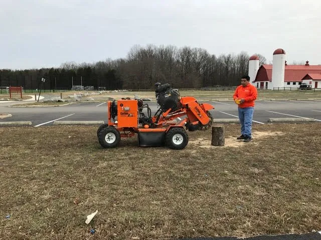 Professional lawn mowing service in Alexandria, VA - Fernando Landscaping