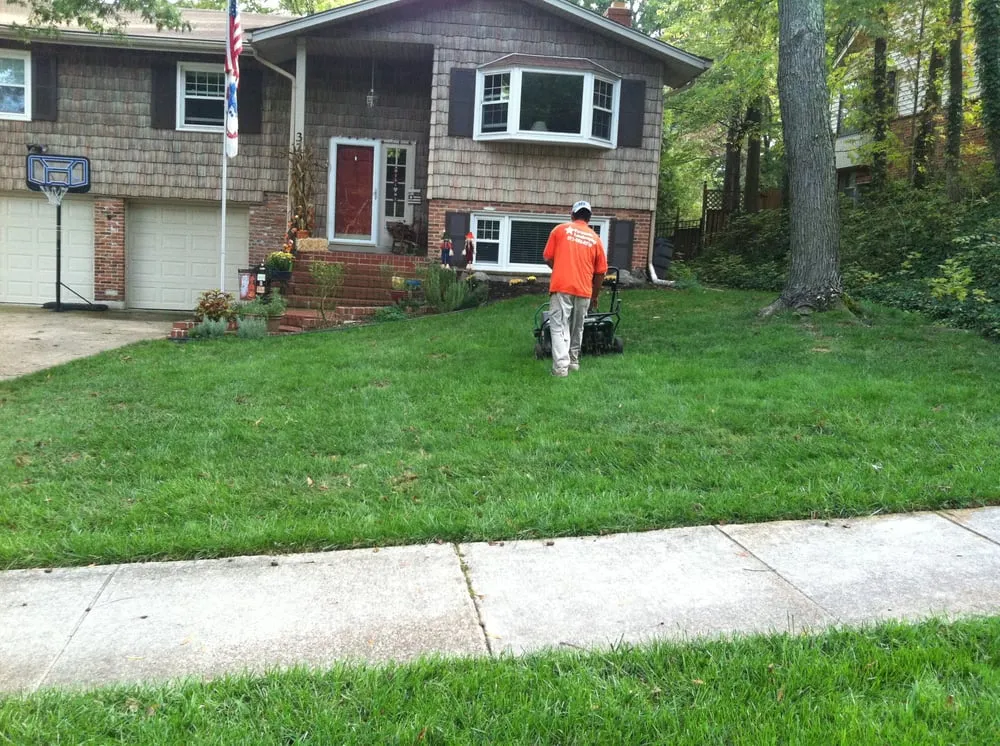 Affordable garden landscaping in Alexandria, VA - Fernando Landscaping