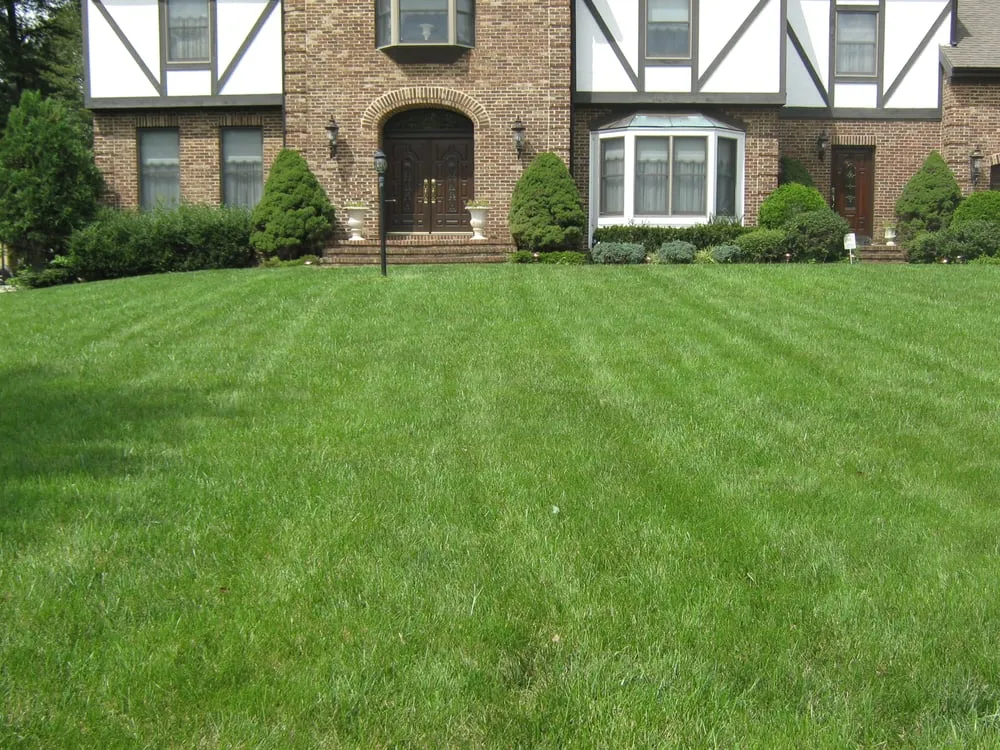 Expert landscaping services experts serving Alexandria, VA - Fernando Landscaping