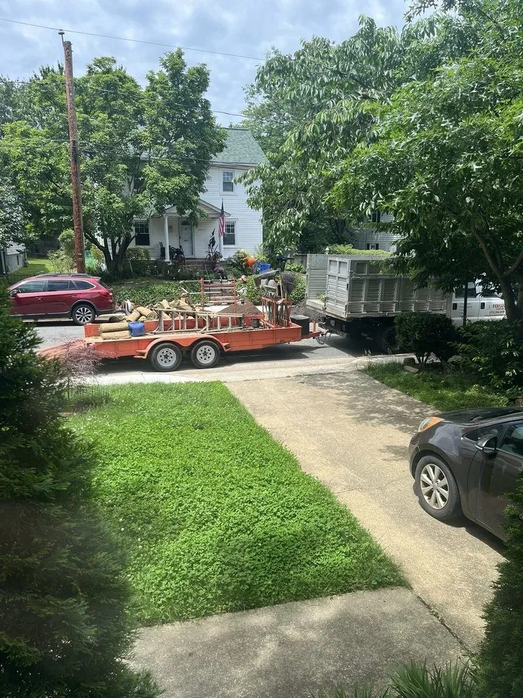 Local yard cleanup service in Alexandria, VA by Fernando Landscaping