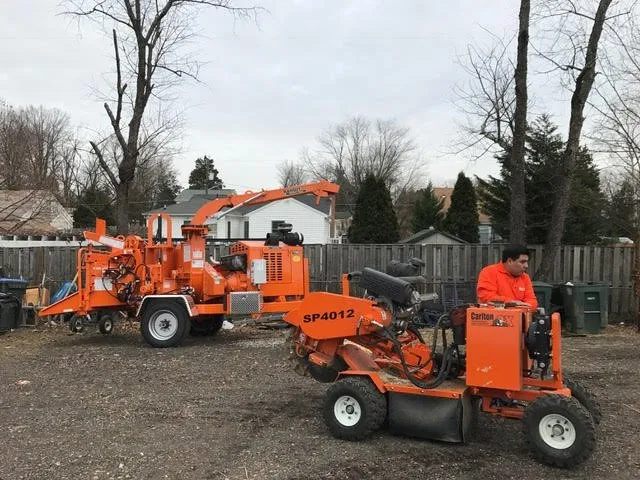 Professional landscape installation with custom design across Alexandria, VA - Fernando Landscaping