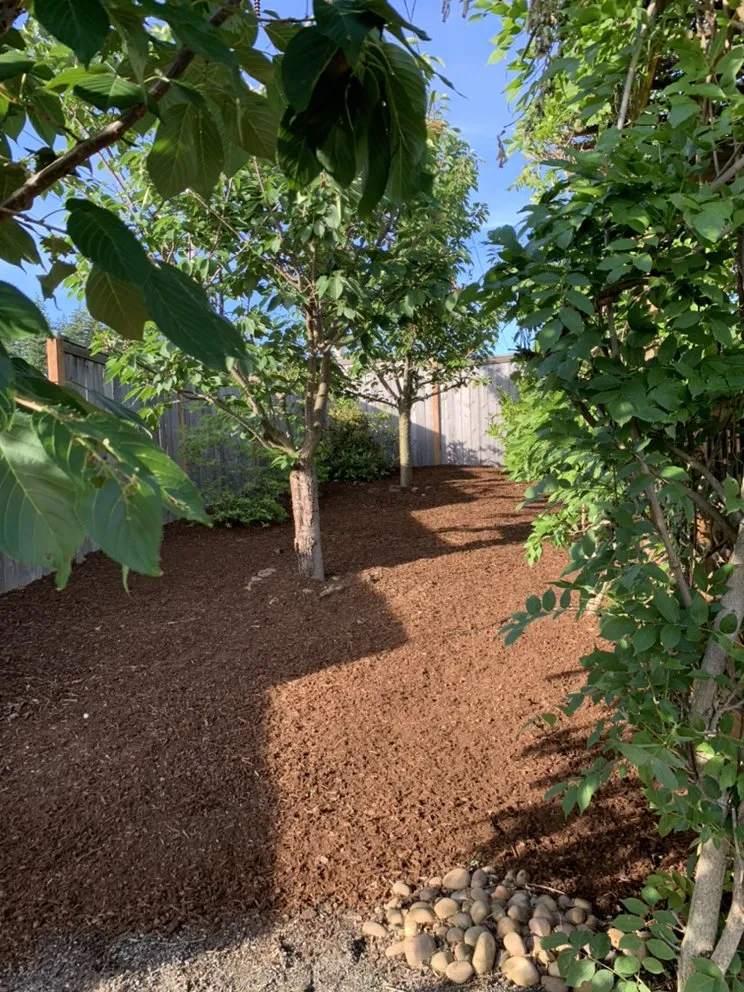 Affordable lawn mowing service in Clackamas, OR - Fernando Landscaping And Yard Care