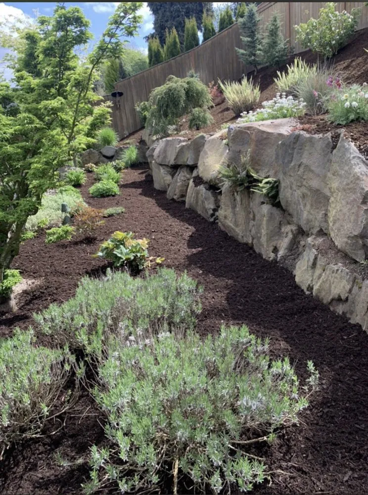 Affordable landscape design in Clackamas, OR - Fernando Landscaping And Yard Care