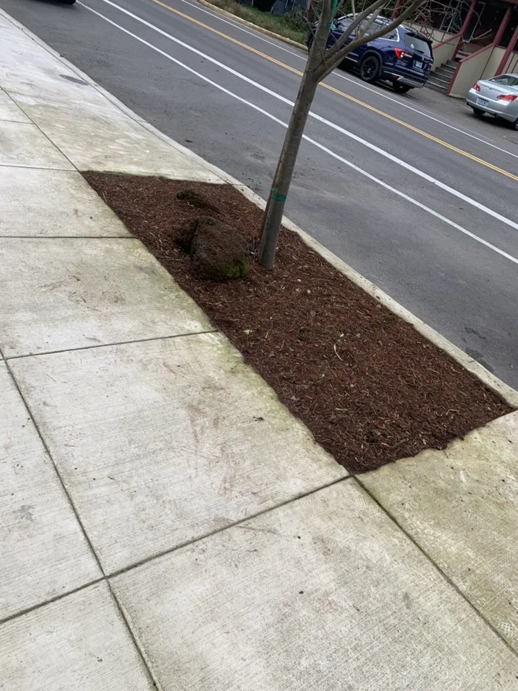 Top-rated yard cleanup service in Clackamas, OR - Fernando Landscaping And Yard Care