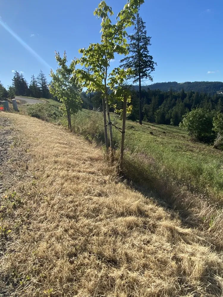 Custom outdoor landscaping for year-round maintenance in Cornelius, OR by Fernando Landscaping