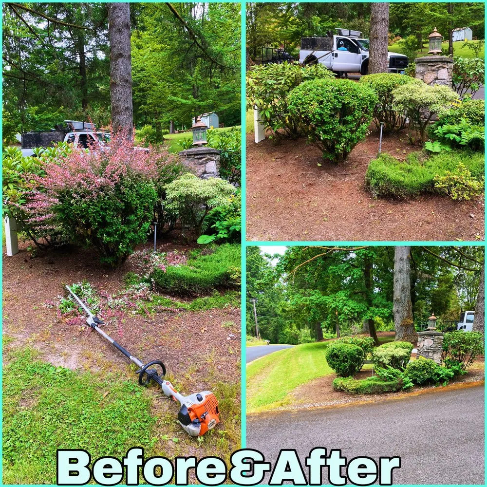 Affordable outdoor landscaping for year-round maintenance in Cornelius, OR by Fernando Landscaping