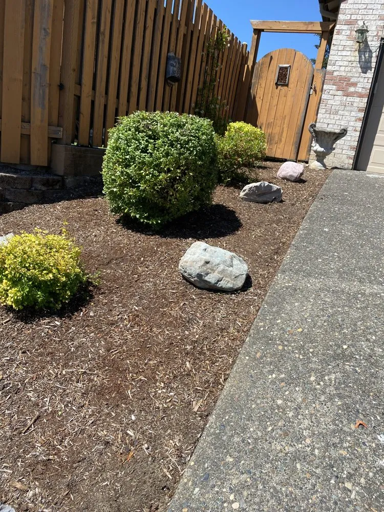 Professional landscaping services in Cornelius, OR - Fernando Landscaping