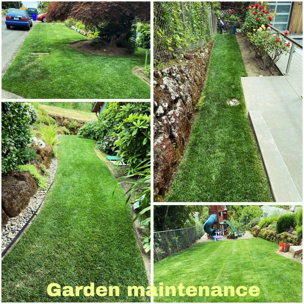 Affordable landscaping services for outdoor upgrades across Cornelius, OR - Fernando Landscaping