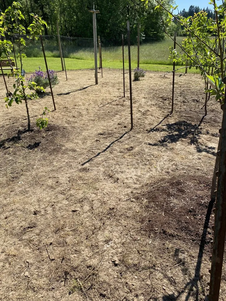 Custom landscaping services experts serving Cornelius, OR - Fernando Landscaping