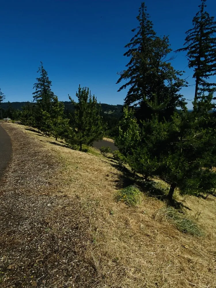 Expert landscape installation experts serving Cornelius, OR - Fernando Landscaping