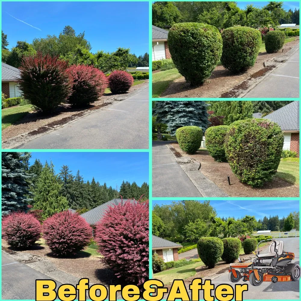 Top-rated landscape design experts serving Cornelius, OR - Fernando Landscaping