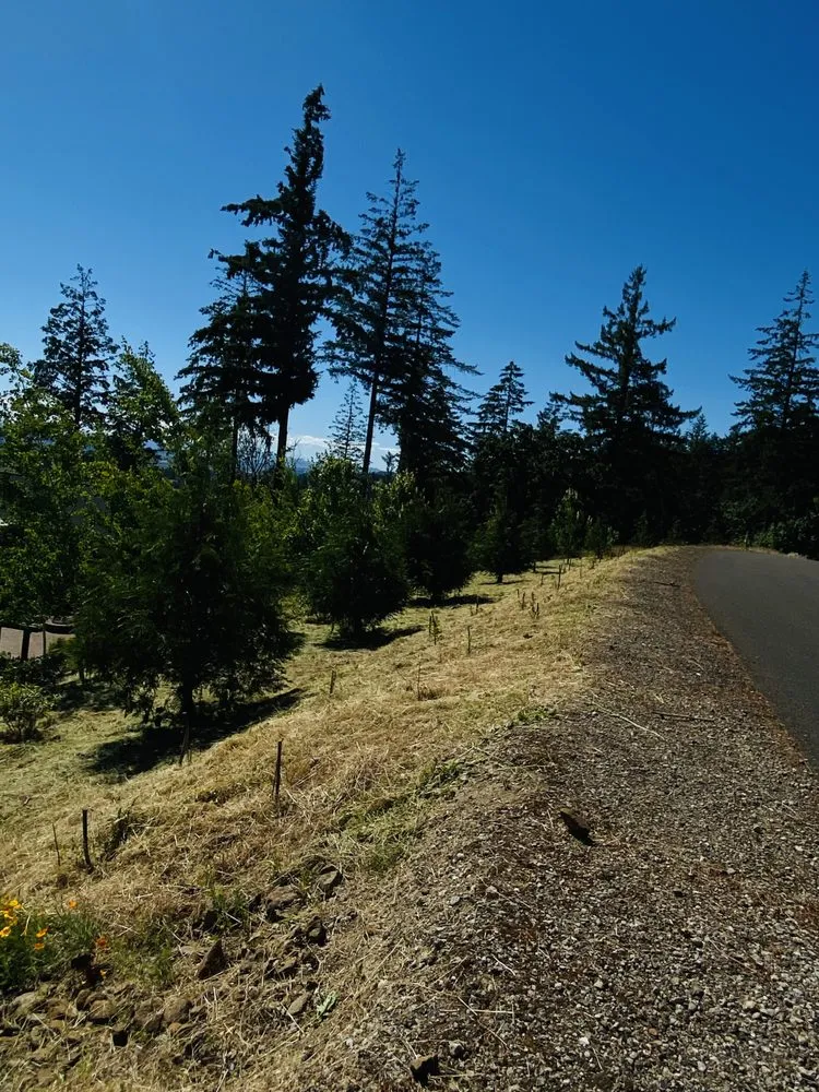 Trusted lawn mowing service in Cornelius, OR by Fernando Landscaping