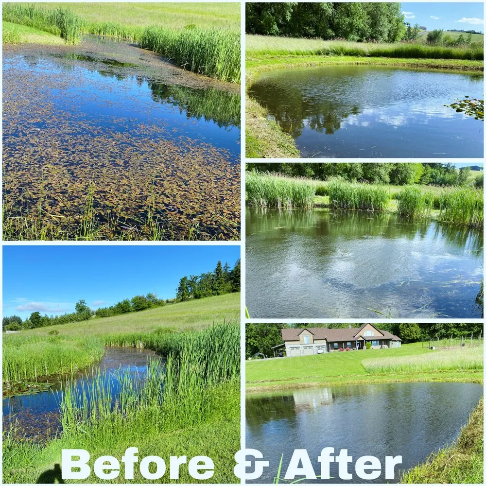 Affordable lawn mowing service with custom design in Cornelius, OR by Fernando Landscaping