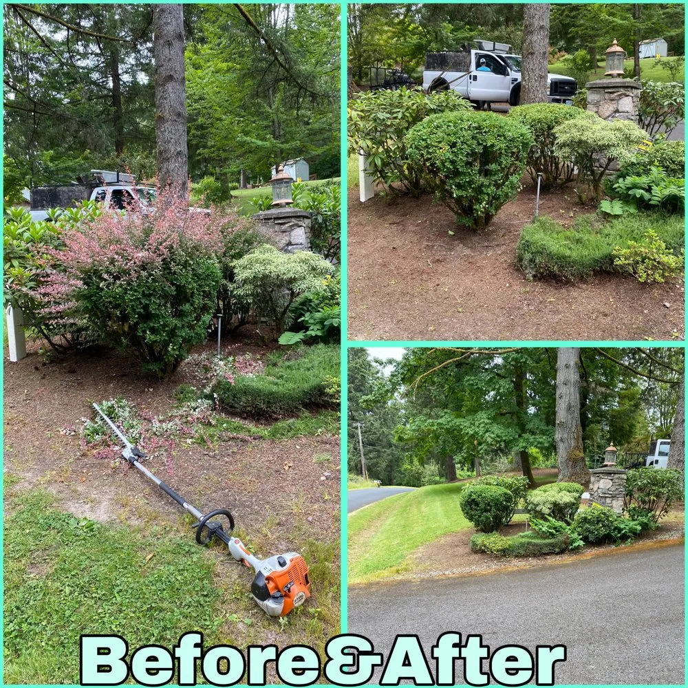 Professional landscaping services for outdoor upgrades across Cornelius, OR - Fernando Landscaping