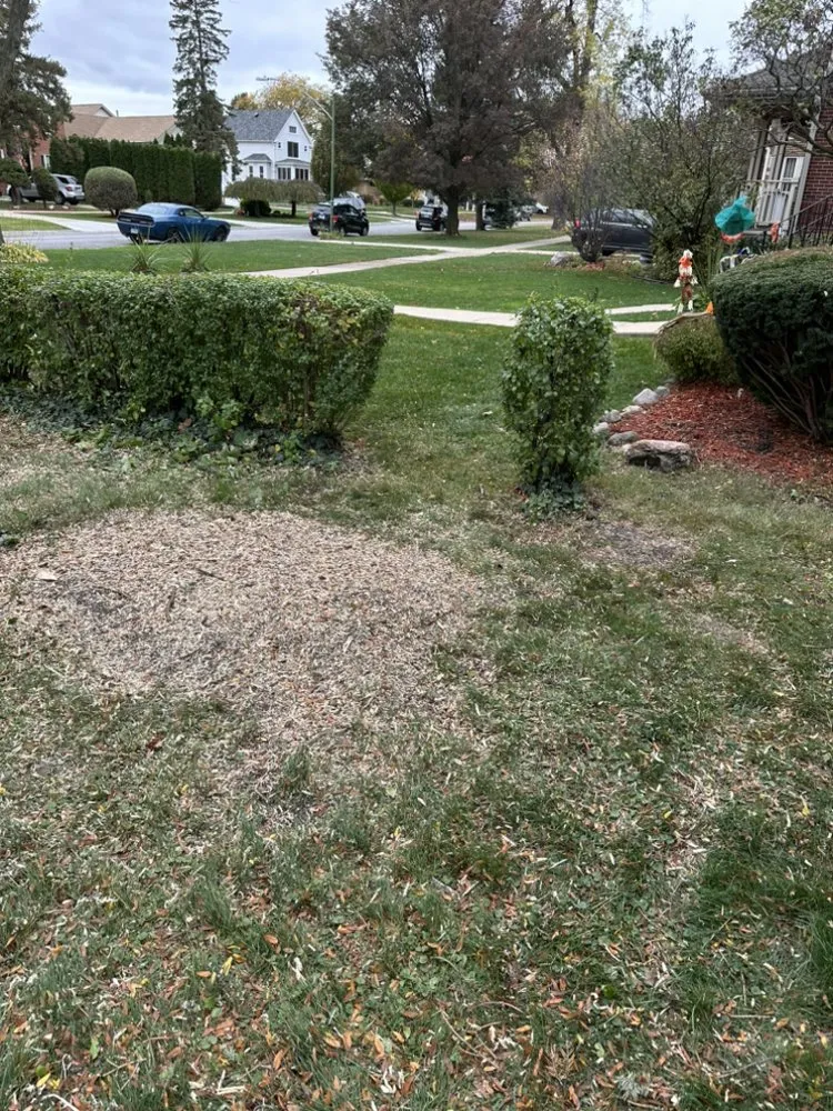 Local landscape installation experts serving Joliet, IL - Fernando Landscaping