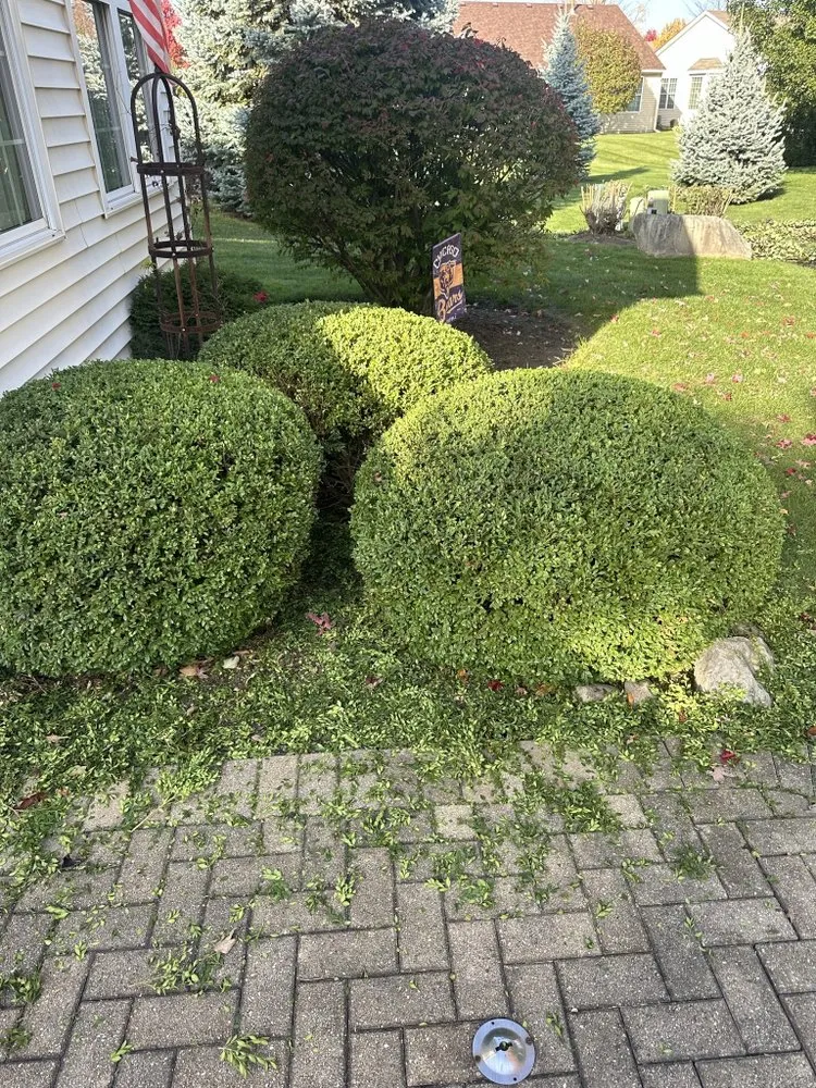 Affordable residential landscaping with custom design in Joliet, IL by Fernando Landscaping