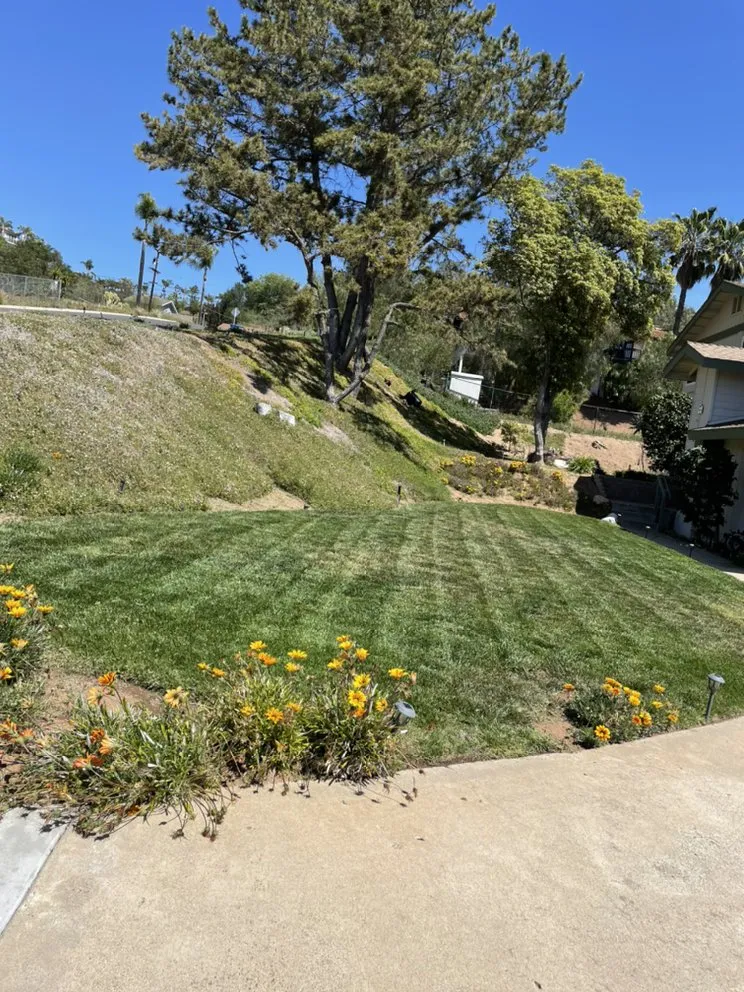 Expert residential landscaping near you across San Diego, CA - Fernando Landscaping
