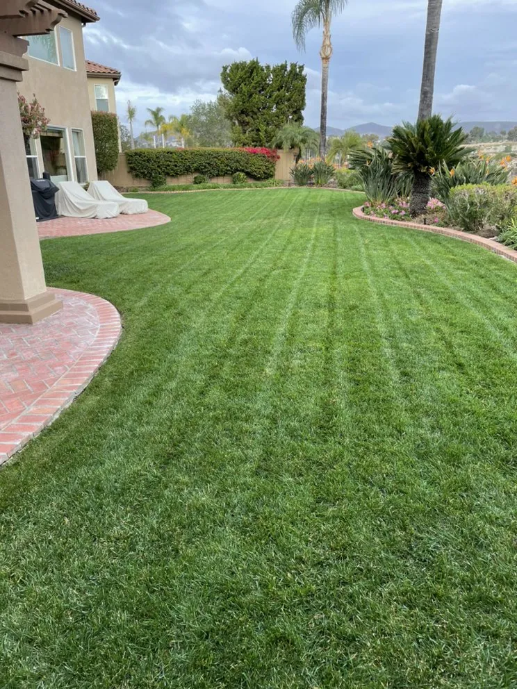 Expert residential landscaping in San Diego, CA - Fernando Landscaping