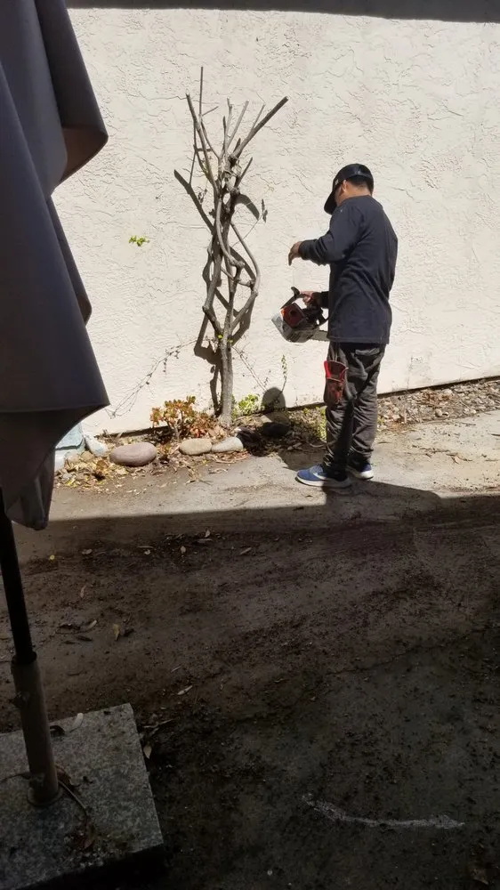 Custom yard maintenance for beautiful yards across San Diego, CA - Fernando Landscaping