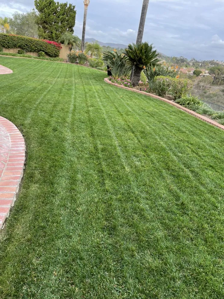 Custom garden landscaping for year-round maintenance in San Diego, CA by Fernando Landscaping