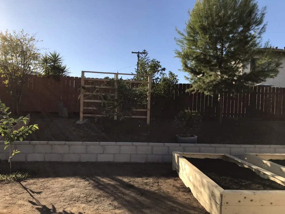 Professional landscape installation in San Diego, CA by Fernando Landscaping