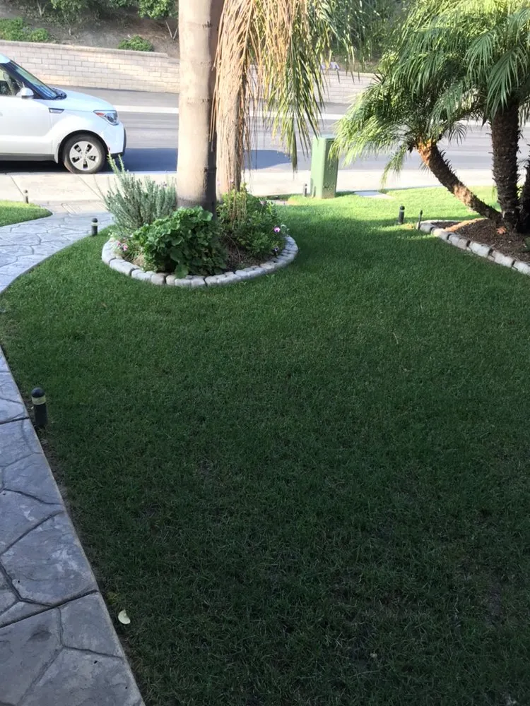 Local outdoor landscaping for homes in San Diego, CA by Fernando Landscaping