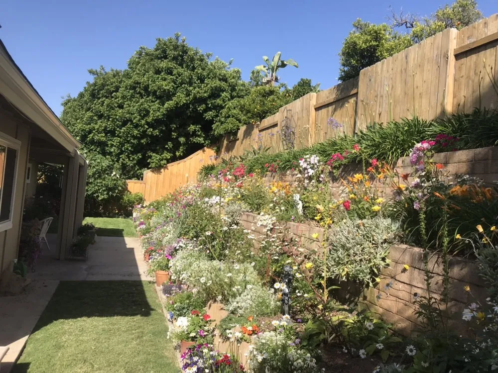 Expert landscape design for homes across San Diego, CA - Fernando Landscaping