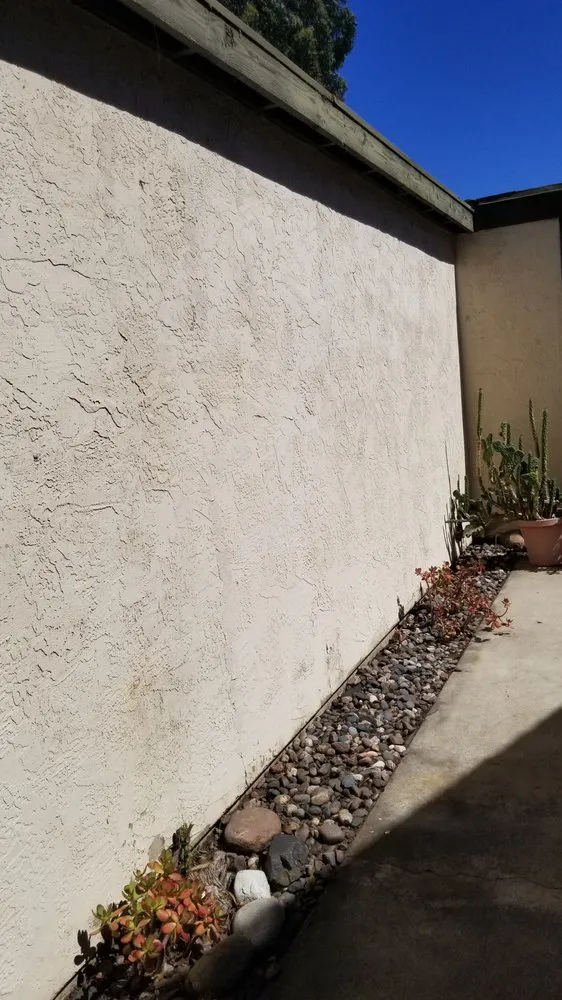 Top-rated yard cleanup service experts serving San Diego, CA - Fernando Landscaping