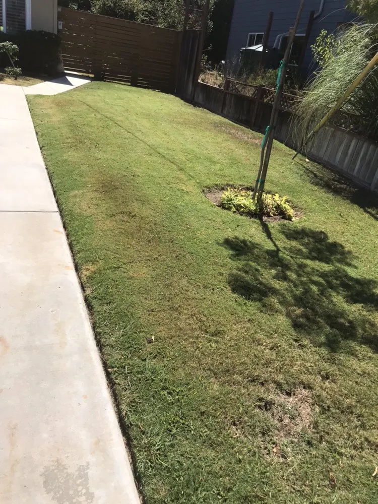 Trusted landscape installation for year-round maintenance across San Diego, CA - Fernando Landscaping