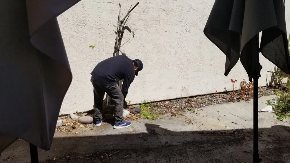 Affordable garden landscaping experts serving San Diego, CA - Fernando Landscaping