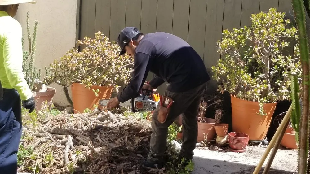 Expert lawn care service in San Diego, CA - Fernando Landscaping