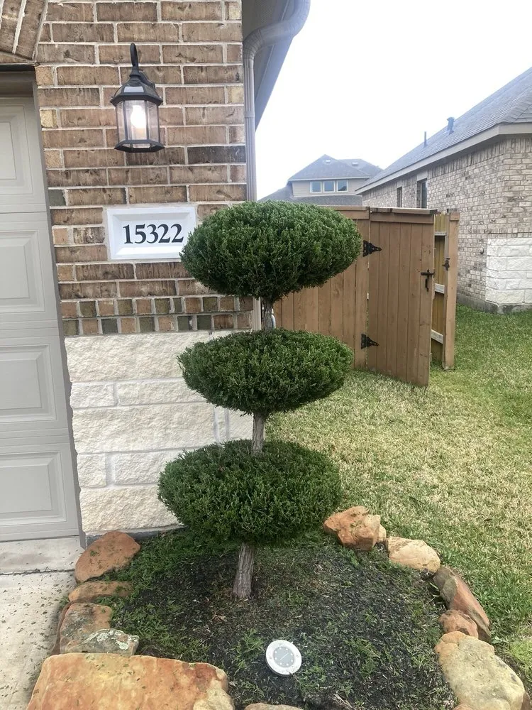 Professional lawn care service experts serving Sugar Land, TX - Fernando landscaping