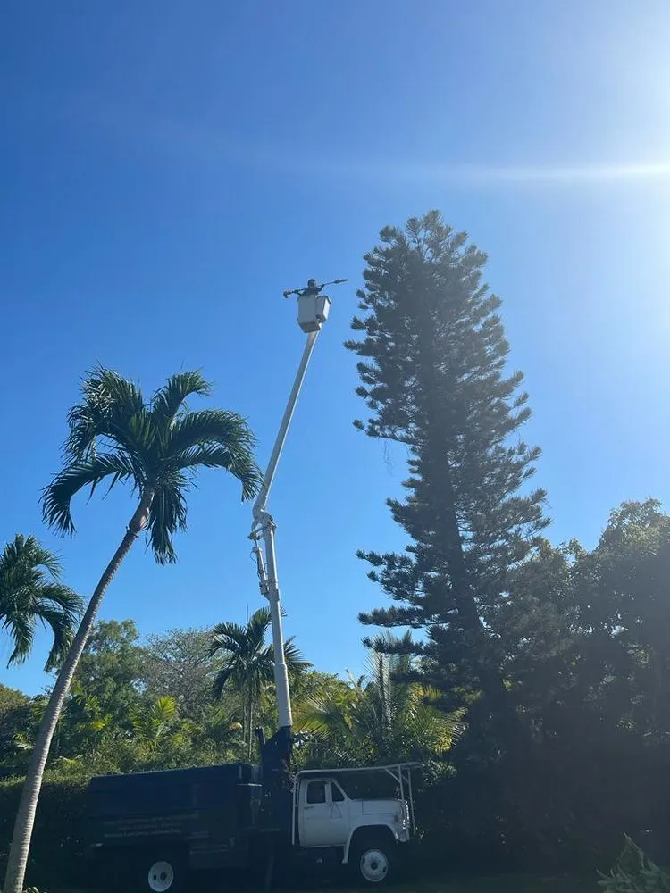 Expert yard maintenance in Kendale Lakes, FL by Fernando Lawn Services