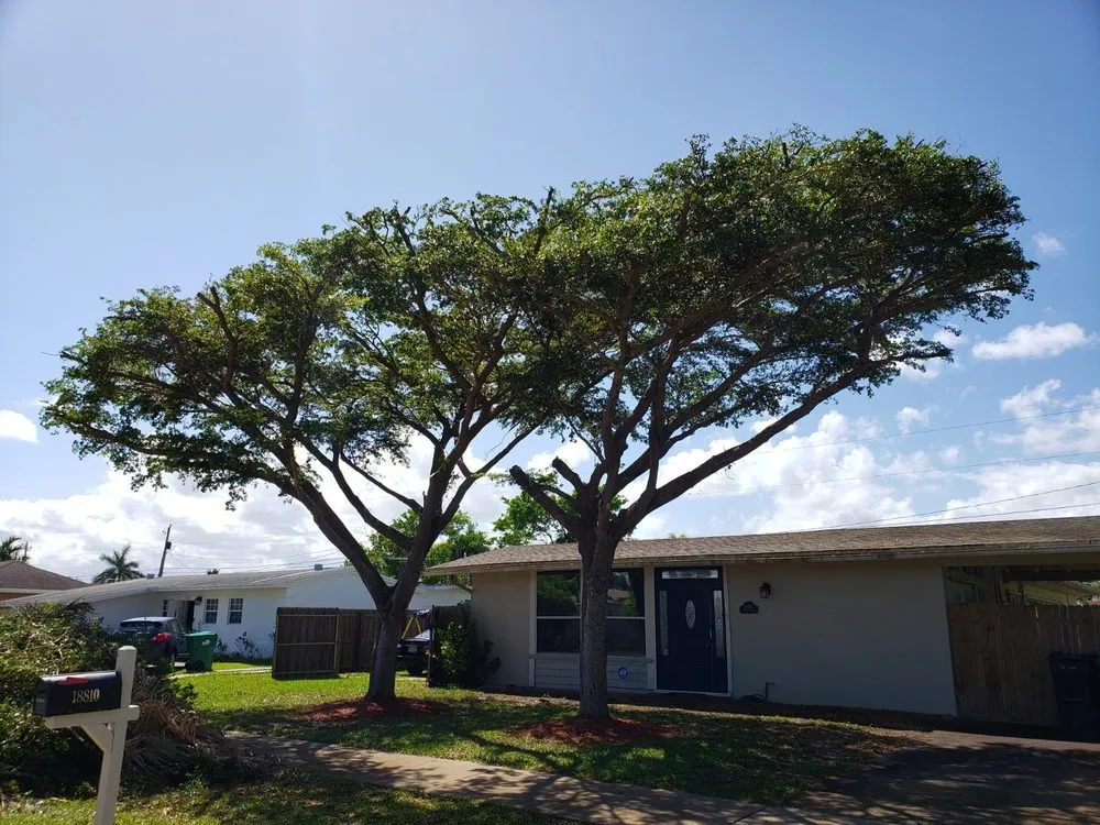 Expert landscaping services experts serving Kendale Lakes, FL - Fernando Lawn Services