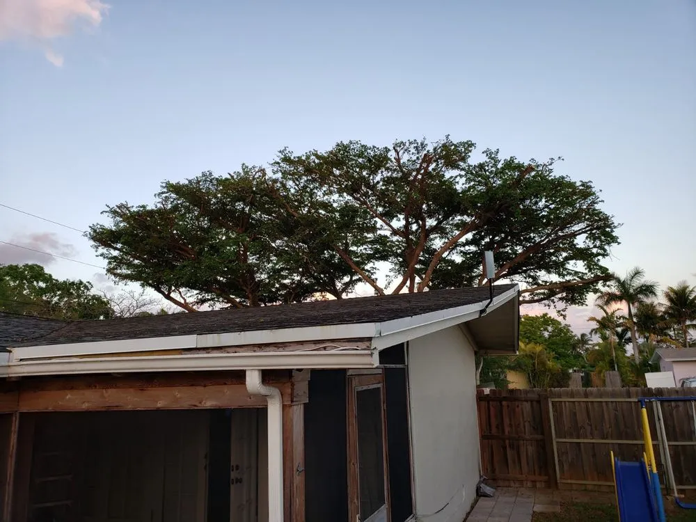 Reliable outdoor landscaping in Kendale Lakes, FL by Fernando Lawn Services