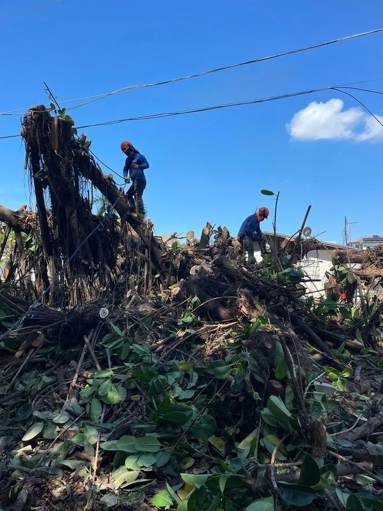 Expert landscape design in Kendale Lakes, FL - Fernando Lawn Services