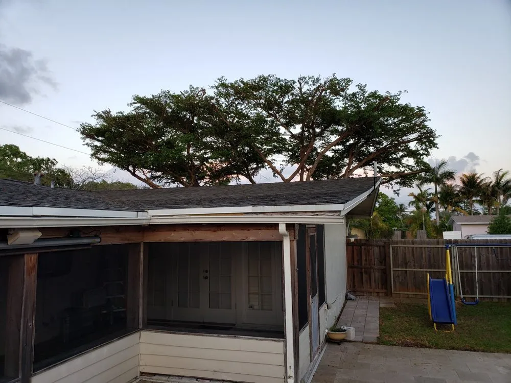 Trusted outdoor landscaping experts serving Kendale Lakes, FL - Fernando Lawn Services