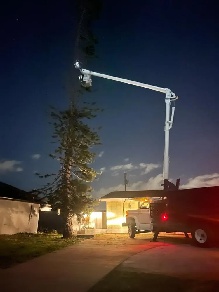 Trusted outdoor landscaping in Kendale Lakes, FL by Fernando Lawn Services