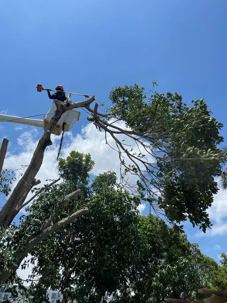 Top-rated lawn care service for outdoor upgrades across Kendale Lakes, FL - Fernando Lawn Services