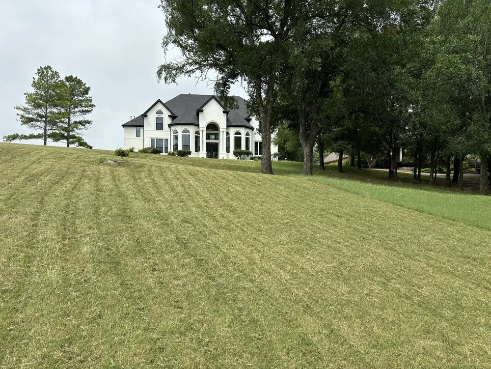 Custom outdoor landscaping in Mesquite, TX by Fernando Lawn services